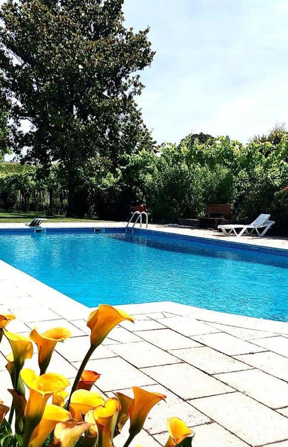 Quinta De Maderne Villa Felgueiras Exterior photo